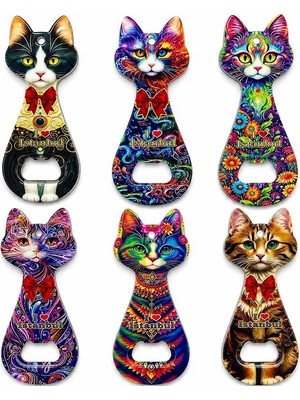 Uravas Store Kedi Tasarımı Istanbul Temalı Buzdolapı Süsü Magnet ALK5408