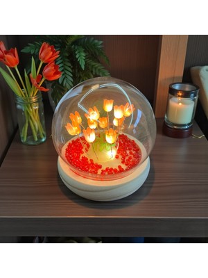 Imosas Led’li Masaüstü Ortam Aydınlatma, Romantik Salon & Yatak Odası Dekoru
