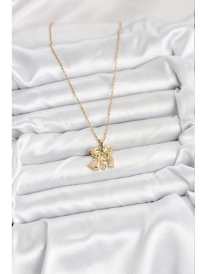 Renas Store Mey Ithalat® 316L Çelik Zincir Gold Renk Erkek Kız Model Kadın Kolye