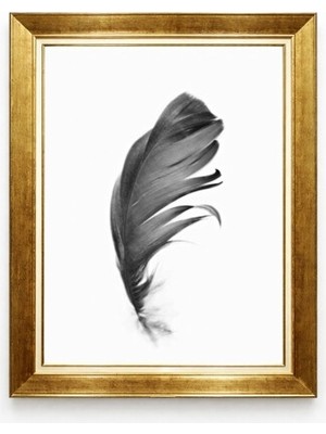 Tablore Minimalist Siyah Kuş Tüyü Tasarımlı Gold Çerçeveli Modern Salon Tablosu