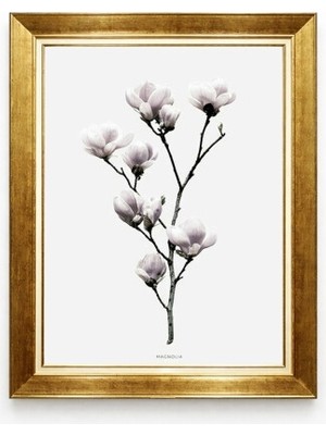 Tablore Manolya Çiçeği Temalı Modern Minimalist Salon Yatak Odası Çerçeveli Duvar Tablosu