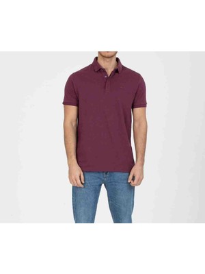 Lacoste Polo Paris Patlıcan Moru Regular Fit