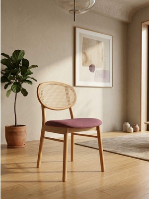 Kleinhaus Furniture Paris Hazeranlı Ahşap Sandalye