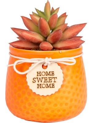 Herdekora Seramik Saksıda Sukulent Aranjmanı Turuncu 10X12 Cm.