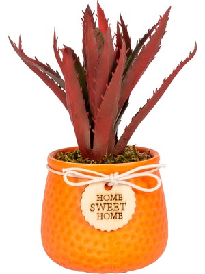 Herdekora Seramik Saksıda Sukulent Aranjmanı Turuncu-Kızıl 10X18 Cm.