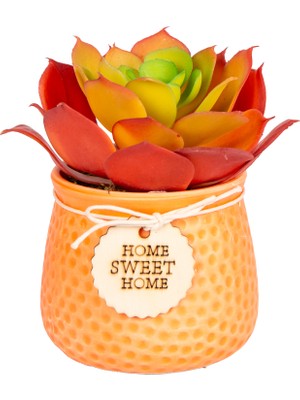 Herdekora Seramik Saksıda Sukulent Aranjmanı Turuncu 16X16 Cm.