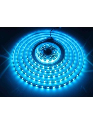 Ookay Led 5050IÇ Mekan Şerit LED Mavi 5 Metre