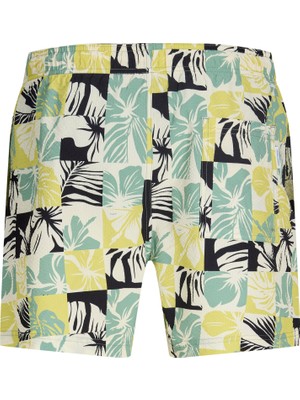 Jack & Jones Erkek Normal Kalip Deniz Sortu - Maui