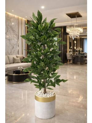Altun Çiçekcilik Ceviz Ağacı 160 cm Lux Beyaz Gold Metal Saksı Dahıl