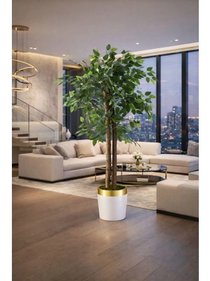 Altun Çiçekcilik Benjamin 150 cm Lux Metal Saksı Dahildir