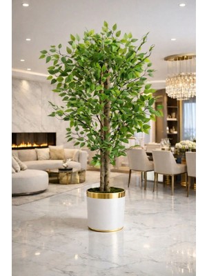 Altun Çiçekcilik Benjamin 150 cm Ağaç Lux Metal Saksı Dahildir