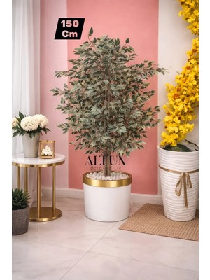 Altun Çiçekcilik Benjamin Ağacı 150 cm Lux Metal Dahil