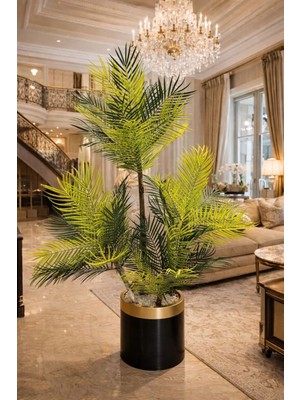 Altun Çiçekcilik Areka 4 Gövdeli Ağaç 150 cm Lux Metal Saksı Dahıldır