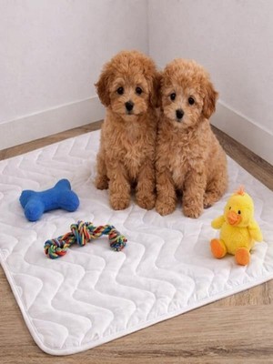 Kedi Köpek Çiş Pedi 45X60 | Sıvı Geçirmez Yıkanabilir Emici | Hasta Alezi | 4 Ebat (45X60)