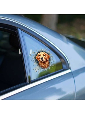 FT Tasarım Fulcar Golden Araç Stickerı