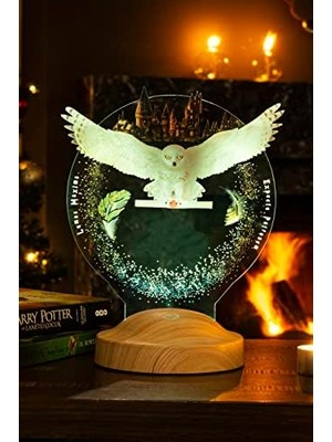 Potter Hediyesi Hogwarts Hedwig 3D LED Lamba, Hediye Gece Lambası