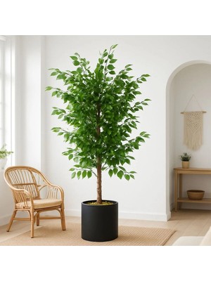 Altun Çiçekcilik Yapay Ağaç Benjamin 150 cm Dolgun Yapraklı Lux Metal Saksı Dahıl