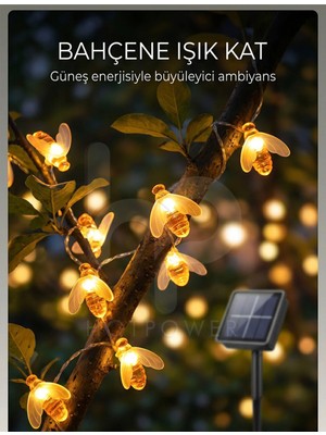 OEM Arılı Sarı Solar LED 20 LED 5 Metre