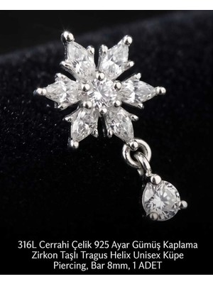 Begonia Accessories 316L Cerrahi Çelik Paslanmaz Kararmaz Alerji Yapmaz Zirkon Taşlı Figürlü Unisex Tragus Helix Küpe Piercing G106-2