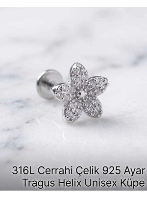 Begonia Accessories 316L Cerrahi Çelik Paslanmaz Kararmaz Alerji Yapmaz Zirkon Taşlı Figürlü Unisex Tragus Helix Küpe Piercing G106-28