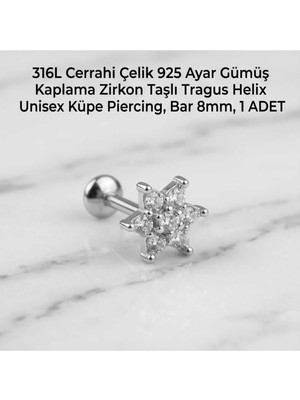 Begonia Accessories 316L Cerrahi Çelik Paslanmaz Kararmaz Alerji Yapmaz Zirkon Taşlı Figürlü Unisex Tragus Helix Küpe Piercing G106-35