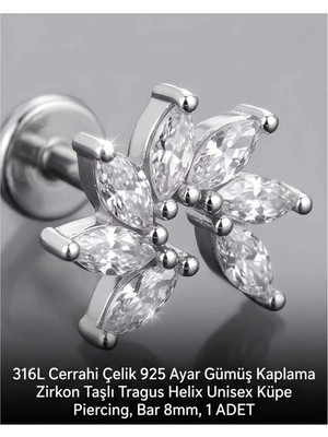 Begonia Accessories 316L Cerrahi Çelik Paslanmaz Kararmaz Alerji Yapmaz Zirkon Taşlı Figürlü Unisex Tragus Helix Küpe Piercing G106-8