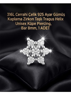 Begonia Accessories 316L Cerrahi Çelik Paslanmaz Kararmaz Alerji Yapmaz Zirkon Taşlı Figürlü Unisex Tragus Helix Küpe Piercing G106-34