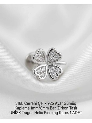 Begonia Accessories 316L Cerrahi Çelik Paslanmaz Kararmaz Alerji Yapmaz Zirkon Taşlı Figürlü Unisex Tragus Helix Küpe Piercing G429-2