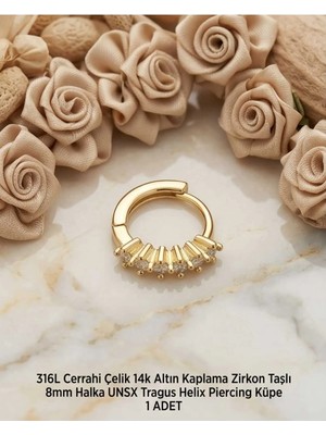 Begonia Accessories 316L Cerrahi Çelik Altın Kaplama Kararmaz Alerji Yapmaz Zirkon Taş Figür 1 Adet Unisex Minimal Halka Tragus Helix Küpe Piercing A503-30