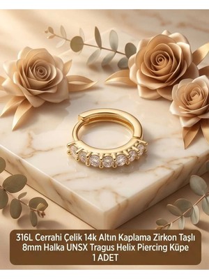 Begonia Accessories 316L Cerrahi Çelik Altın Kaplama Kararmaz Alerji Yapmaz Zirkon Taş Figür 1 Adet Unisex Minimal Halka Tragus Helix Küpe Piercing A503-33