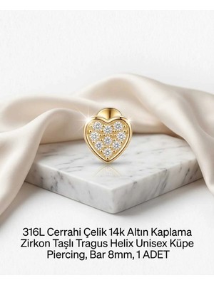 Begonia Accessories 316L Cerrahi Çelik Altın Kaplama Kararmaz Alerji Yapmaz Zirkon Taş Figür Unisex Tragus Helix Küpe Piercing A106-24