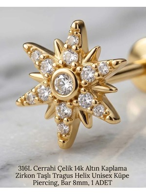 Begonia Accessories 316L Cerrahi Çelik Altın Kaplama Kararmaz Alerji Yapmaz Zirkon Taş Figür Unisex Tragus Helix Küpe Piercing A106-26