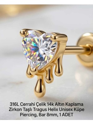 Begonia Accessories 316L Cerrahi Çelik Altın Kaplama Kararmaz Alerji Yapmaz Zirkon Taş Figür Unisex Tragus Helix Küpe Piercing A106-31