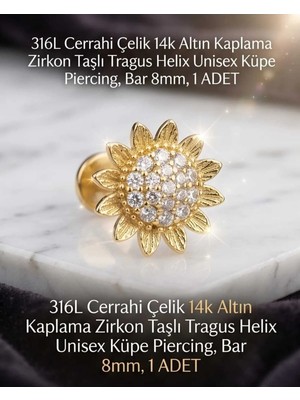 Begonia Accessories 316L Cerrahi Çelik Altın Kaplama Kararmaz Alerji Yapmaz Zirkon Taş Figür Unisex Tragus Helix Küpe Piercing A106-34