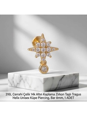 Begonia Accessories 316L Cerrahi Çelik Altın Kaplama Kararmaz Alerji Yapmaz Zirkon Taş Figür Unisex Tragus Helix Küpe Piercing A106-45