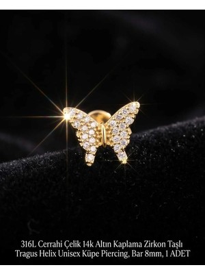 Begonia Accessories 316L Cerrahi Çelik Altın Kaplama Kararmaz Alerji Yapmaz Zirkon Taş Figür Unisex Tragus Helix Küpe Piercing A106-7