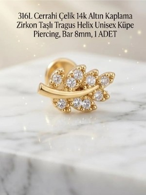 Begonia Accessories 316L Cerrahi Çelik Altın Kaplama Kararmaz Alerji Yapmaz Zirkon Taş Figür Unisex Tragus Helix Küpe Piercing A106-9