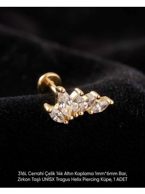 Begonia Accessories 316L Cerrahi Çelik Altın Kaplama Kararmaz Alerji Yapmaz Zirkon Taş Figür Unisex Tragus Helix Küpe Piercing A429-21