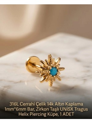 Begonia Accessories 316L Cerrahi Çelik Altın Kaplama Kararmaz Alerji Yapmaz Zirkon Taş Figür Unisex Tragus Helix Küpe Piercing A429-22