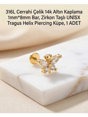 Begonia Accessories 316L Cerrahi Çelik Altın Kaplama Kararmaz Alerji Yapmaz Zirkon Taş Figür Unisex Tragus Helix Küpe Piercing A429-33