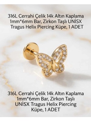 Begonia Accessories 316L Cerrahi Çelik Altın Kaplama Kararmaz Alerji Yapmaz Zirkon Taş Figür Unisex Tragus Helix Küpe Piercing A429-4