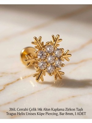 Begonia Accessories 316L Cerrahi Çelik Altın Kaplama Kararmaz Alerji Yapmaz Zirkon Taş Figür Unisex Tragus Helix Küpe Piercing A106-32