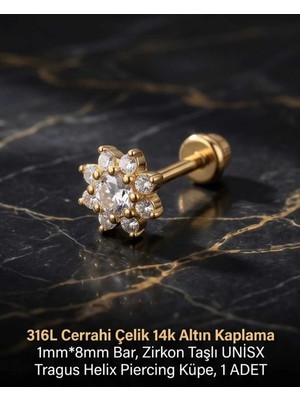 Begonia Accessories 316L Cerrahi Çelik Altın Kaplama Kararmaz Alerji Yapmaz Zirkon Taş Figür Unisex Tragus Helix Küpe Piercing A429-52