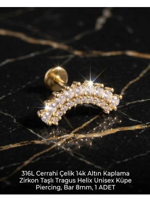 Begonia Accessories 316L Cerrahi Çelik Altın Kaplama Kararmaz Alerji Yapmaz Zirkon Taş Figür Unisex Tragus Helix Küpe Piercing A106-46