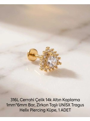 Begonia Accessories 316L Cerrahi Çelik Altın Kaplama Kararmaz Alerji Yapmaz Zirkon Taş Figür Unisex Tragus Helix Küpe Piercing A429-1