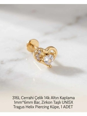 Begonia Accessories 316L Cerrahi Çelik Altın Kaplama Kararmaz Alerji Yapmaz Zirkon Taş Figür Unisex Tragus Helix Küpe Piercing A429-16