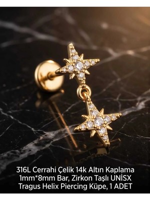 Begonia Accessories 316L Cerrahi Çelik Altın Kaplama Kararmaz Alerji Yapmaz Zirkon Taş Figür Unisex Tragus Helix Küpe Piercing A429-27