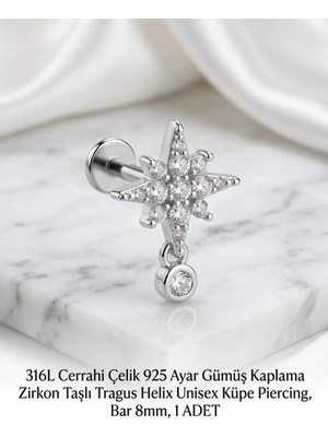 Begonia Accessories 316L Cerrahi Çelik Paslanmaz Kararmaz Alerji Yapmaz Zirkon Taşlı Figürlü Unisex Tragus Helix Küpe Piercing G106-12