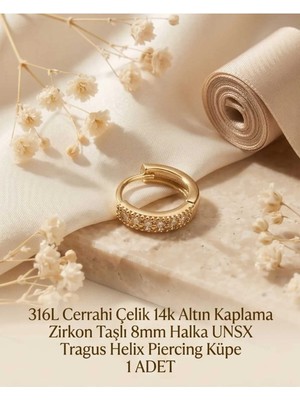Begonia Accessories 316L Cerrahi Çelik Altın Kaplama Kararmaz Alerji Yapmaz Zirkon Taş Figür 1 Adet Unisex Minimal Halka Tragus Helix Küpe Piercing A503-24