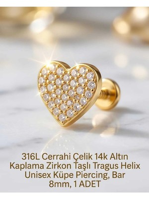 Begonia Accessories 316L Cerrahi Çelik Altın Kaplama Kararmaz Alerji Yapmaz Zirkon Taş Figür Unisex Tragus Helix Küpe Piercing A106-17